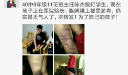 爆料导师学员恋情视频,视频揭秘校园禁忌恋情